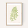 Ferns 2