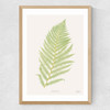 Ferns 2 Medium Oak Frame