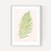 Ferns 2