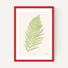 Ferns 2