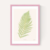 Ferns 2