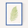 Ferns 2