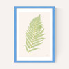 Ferns 2