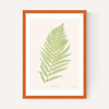 Ferns 2