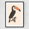 Toucan by Aster Narrow Black Frame