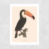 Toucan by Aster