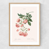 Rosier by Aster Narrow Oak Frame