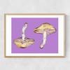 Mushrooms on Purple Narrow Oak Frame
