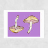 Mushrooms on Purple Unframed Print