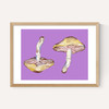 Mushrooms on Purple