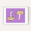 Mushrooms on Purple