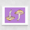 Mushrooms on Purple Medium White Frame