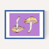 Mushrooms on Purple