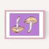 Mushrooms on Purple