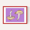 Mushrooms on Purple