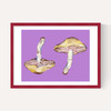 Mushrooms on Purple