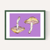Mushrooms on Purple