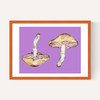 Mushrooms on Purple