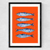 Sardines Orange