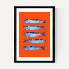 Sardines Orange