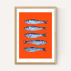 Sardines Orange