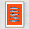 Sardines Orange Medium Oak Frame