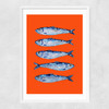 Sardines Orange