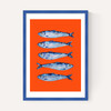 Sardines Orange