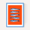 Sardines Orange