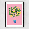 Meyer Lemon Tree Narrow Black Frame