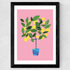 Meyer Lemon Tree Wide Black Frame
