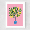 Meyer Lemon Tree Medium White Frame