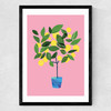 Meyer Lemon Tree Medium Black Frame