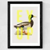 Ey Up Duck