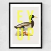 Ey Up Duck