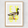 Ey Up Duck Medium Oak Frame