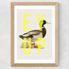 Ey Up Duck Wide Oak Frame