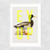 Ey Up Duck Narrow White Frame