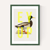 Ey Up Duck