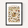 Nos bons Petits Oiseaux