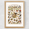 Nos bons Petits Oiseaux Wide Oak Frame