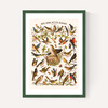 Nos bons Petits Oiseaux