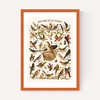 Nos bons Petits Oiseaux