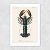 Homard Unframed Print