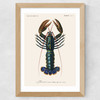 Homard Wide Oak Frame
