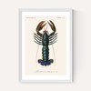 Homard