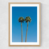 Palm Springs Twin Palms Medium Oak Frame