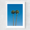 Palm Springs Twin Palms Medium White Frame