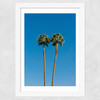 Palm Springs Twin Palms Wide White Frame