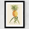 Ananas by Aster Wide Black Frame